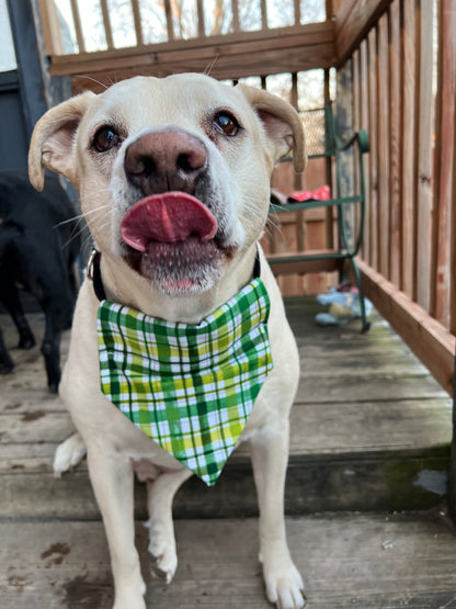 Green Plaid Bandana
