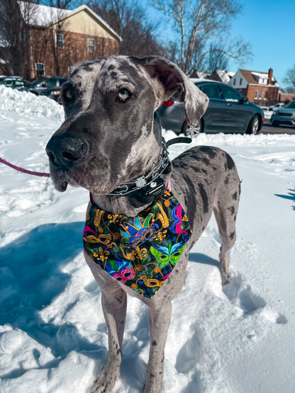 Bright Masquerade Bandana