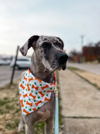 Irish Dog Bone Bandana