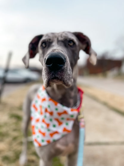Irish Dog Bone Bandana