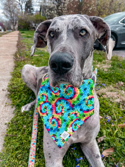 IZZYS x PUPS OF STL SUMMER BANDANA