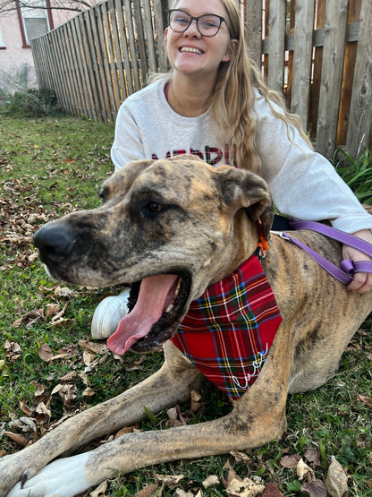 Red Plaid Bandana