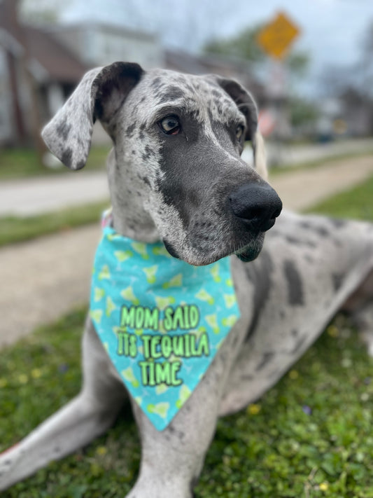 Tequila Time  Bandana