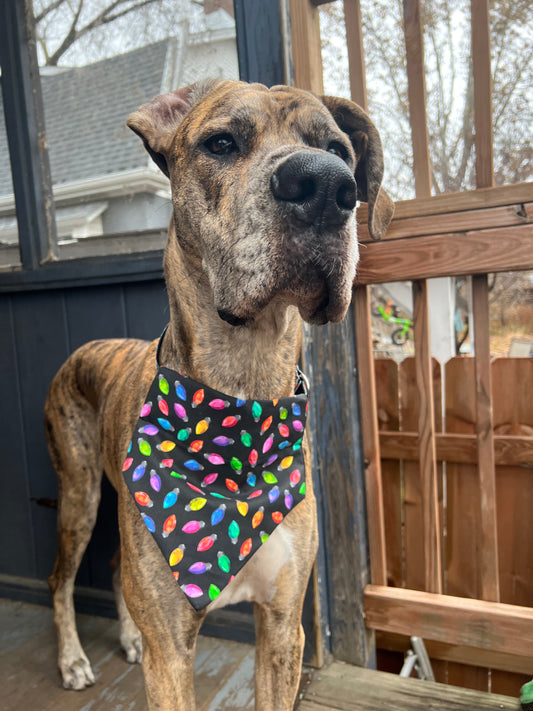 Neon Holiday Lights Bandana