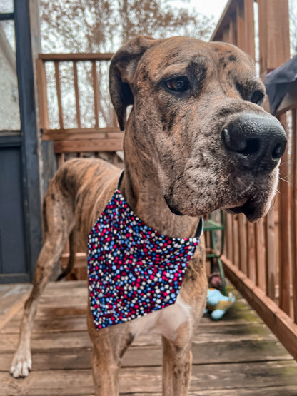 Mini Stars Bandana