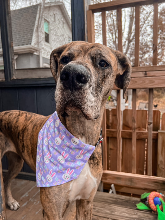 Some Bunny Loves YOU Bandana