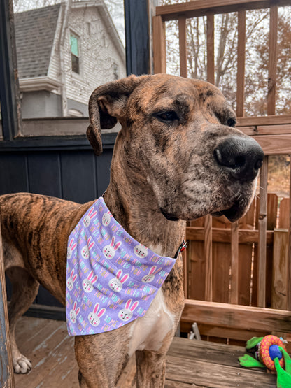 Some Bunny Loves YOU Bandana