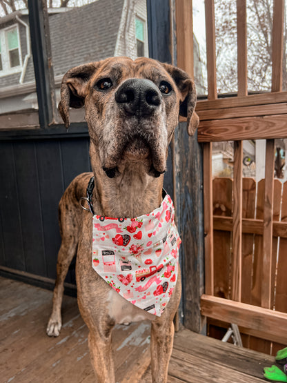 Happy Valentine's Day Bandana