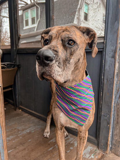 Mardi Gras Beads Bandana