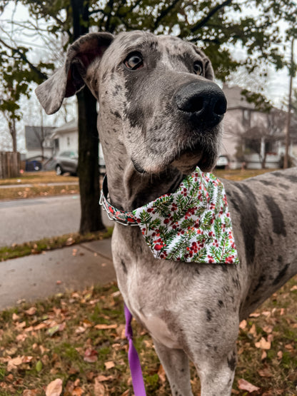 Holly Jolly Bandana