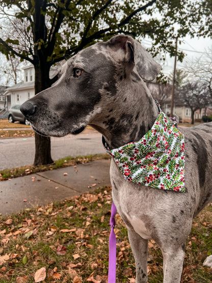 Holly Jolly Bandana