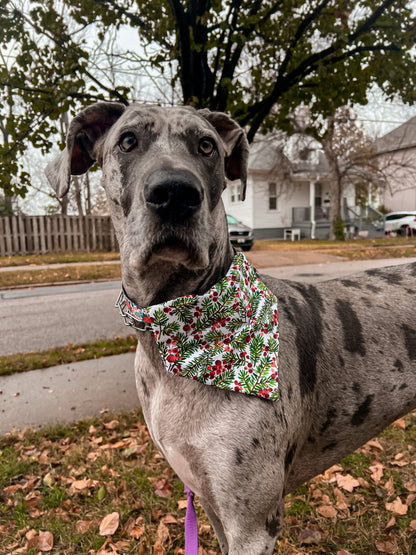 Holly Jolly Bandana