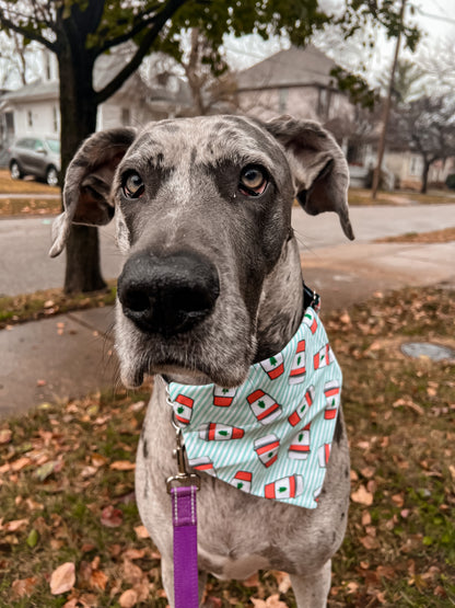 Holiday Coffee Bandana
