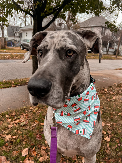 Holiday Coffee Bandana
