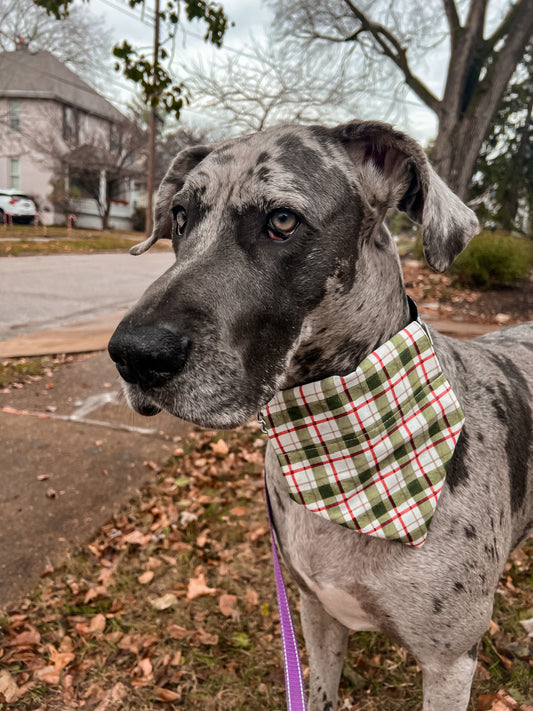 Green Plaid Bandana