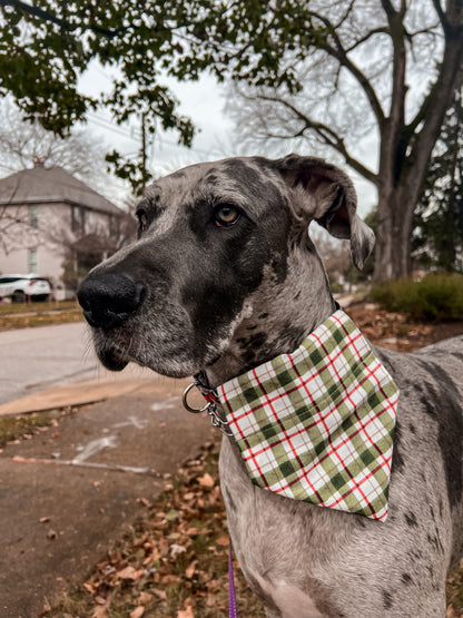Green Plaid Bandana