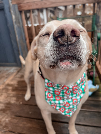 Holiday Pup Cups Bandana