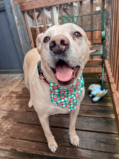 Holiday Pup Cups Bandana
