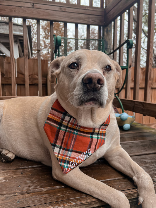 Orange Plaid Bandana