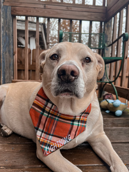 Orange Plaid Bandana