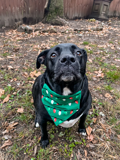 Green Holiday Lights Bandana