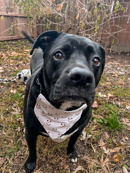 Snowman Bandana