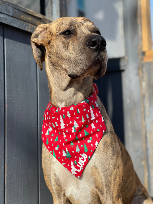 Red Christmas Trees Bandana