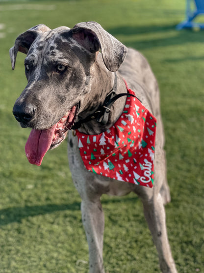 Red Christmas Trees Bandana