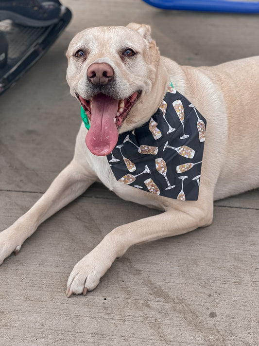 Champagne Bandana