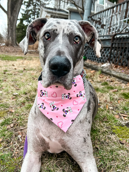 Pink Valentines Dogs Bandana
