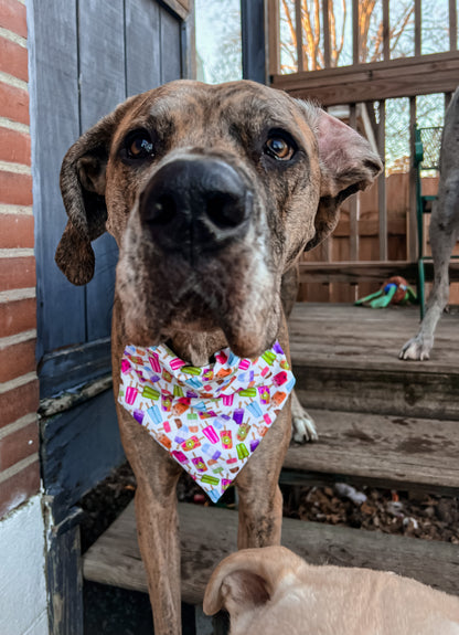 Popsicles Bandana