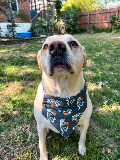 Skeleton Dinosaur Bandana