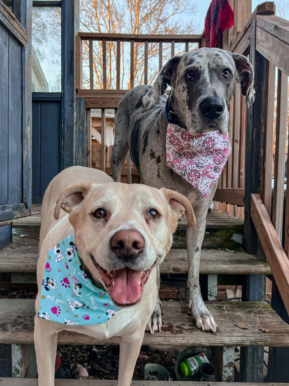 Disco Cowgirl Bandana