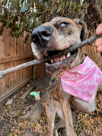 Sugar Cookie Bandana