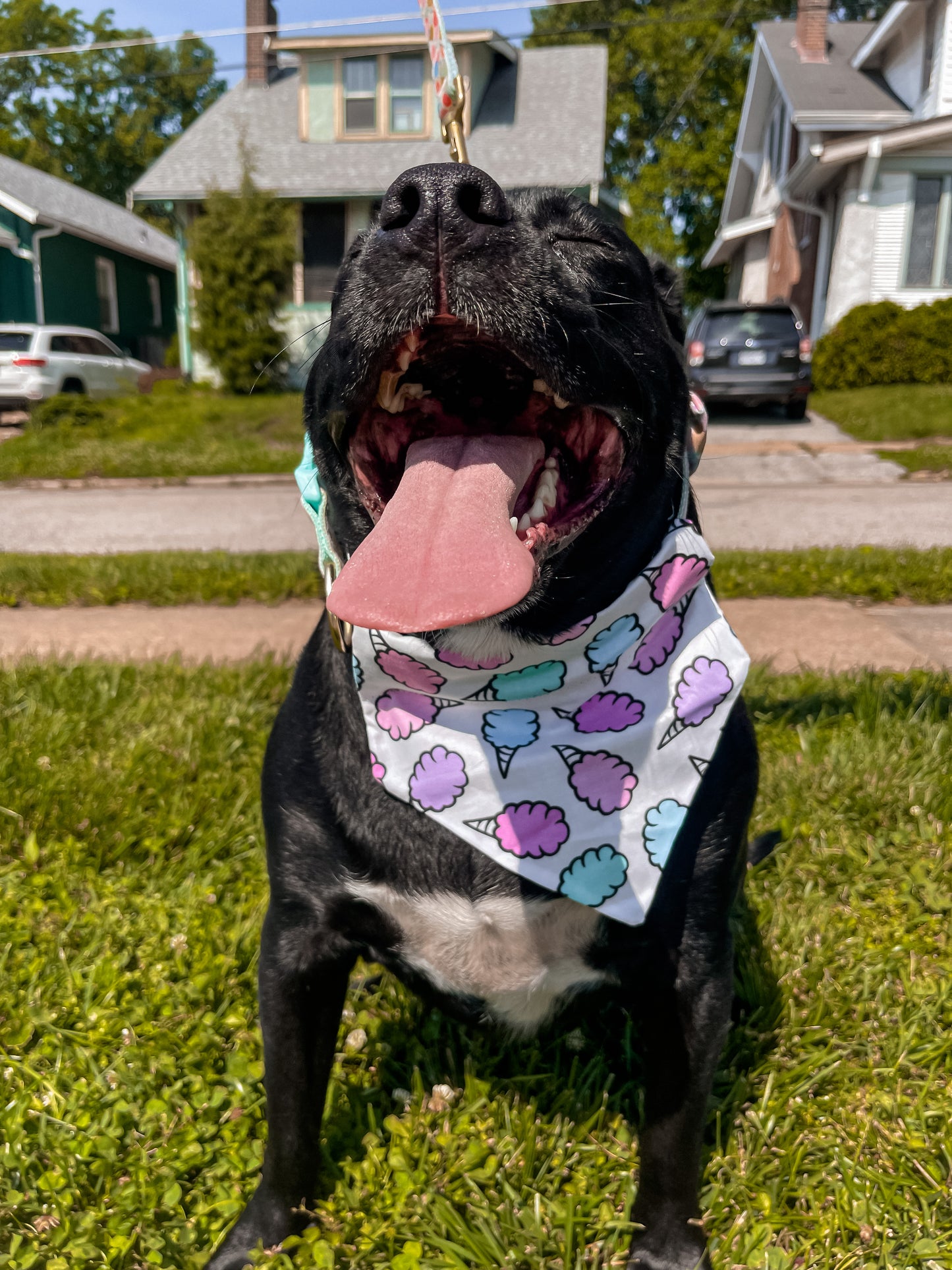 Cotton Candy Bandana