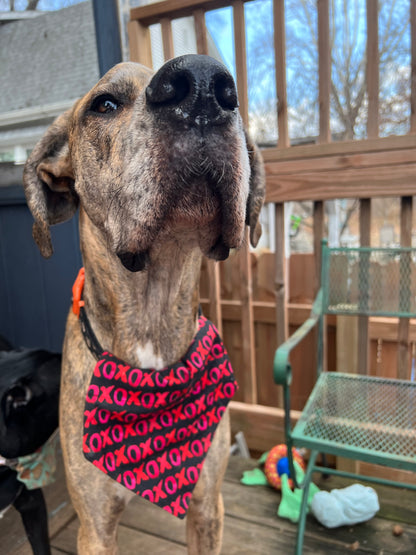 XOXO Bandana