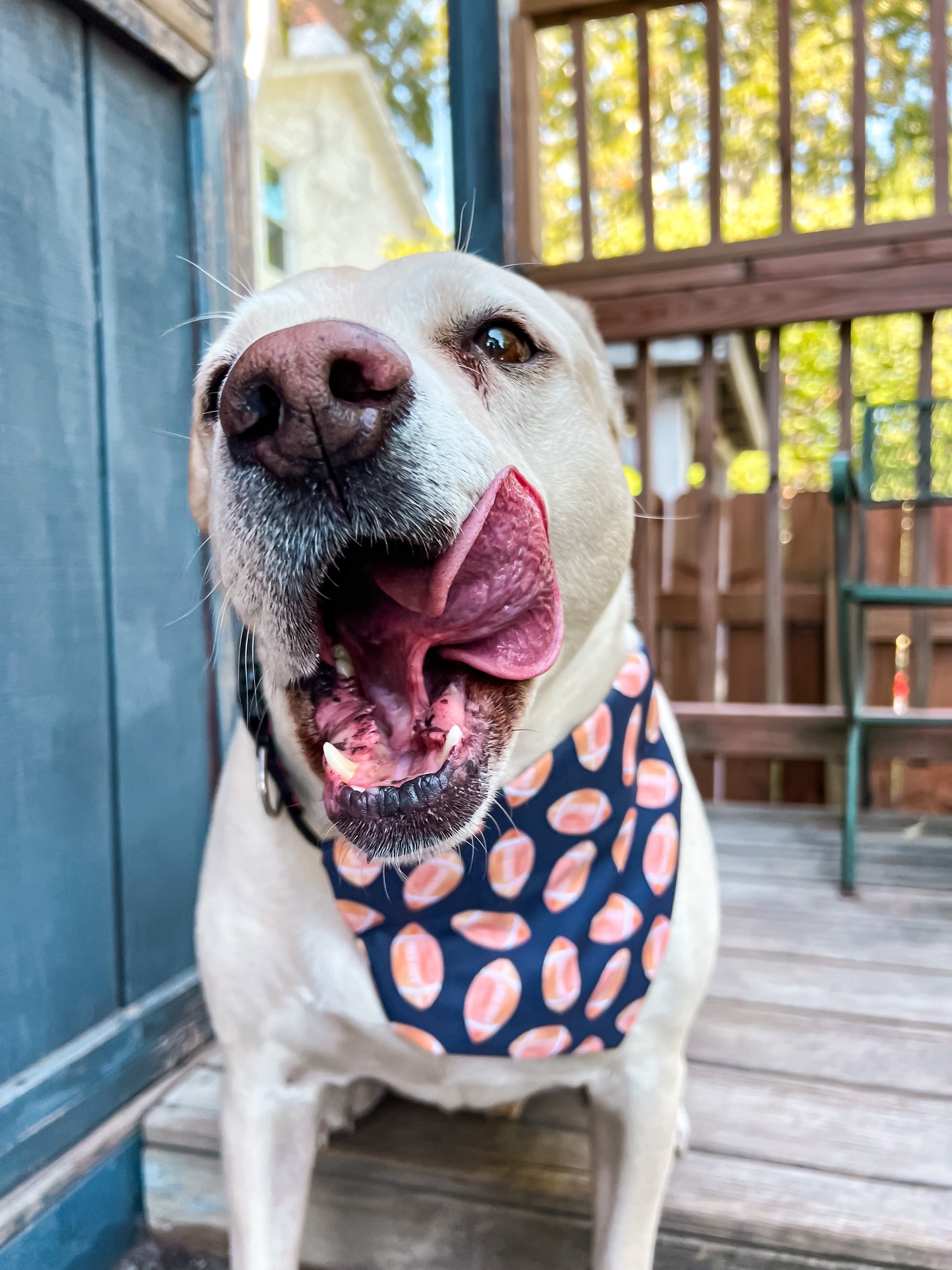 Navy Footballs Bandana