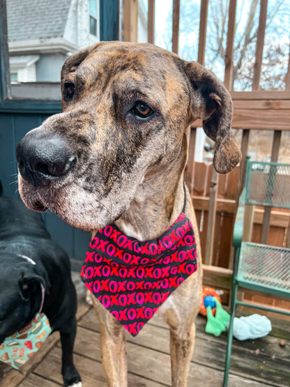 XOXO Bandana