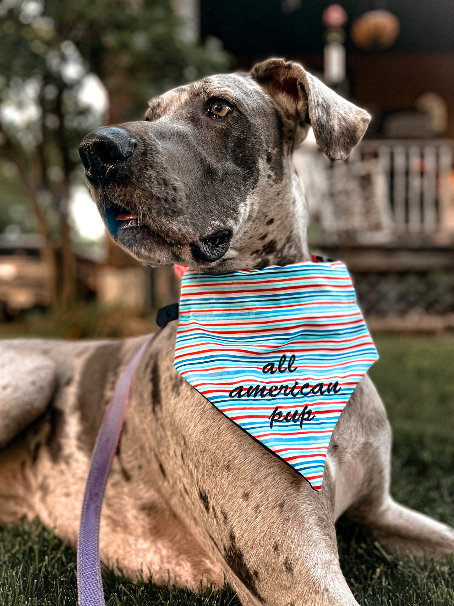 All American Pup Embroidered Bandana