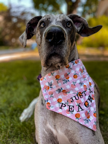Just Peachy Embroidered Bandana