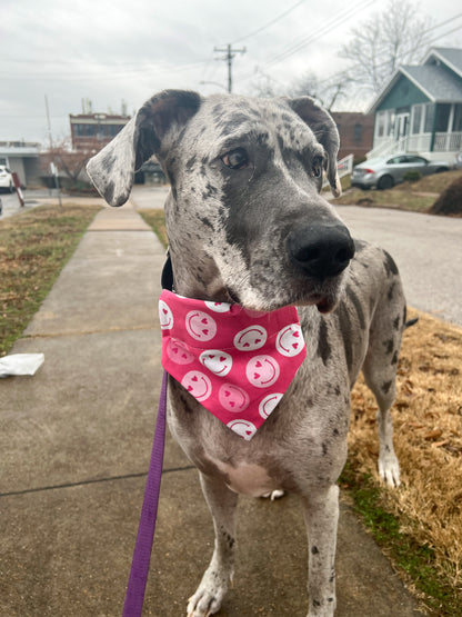 Smiley Hearts Bandana