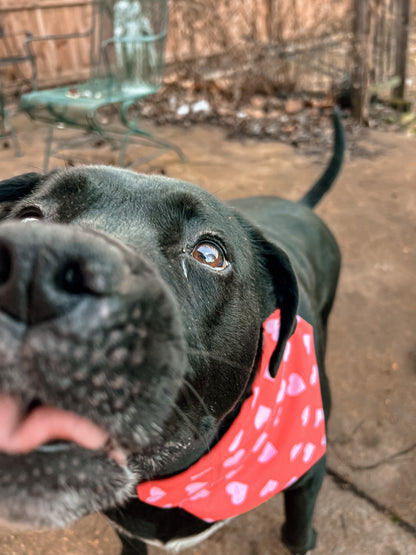 Pink Hearts on Red Bandana