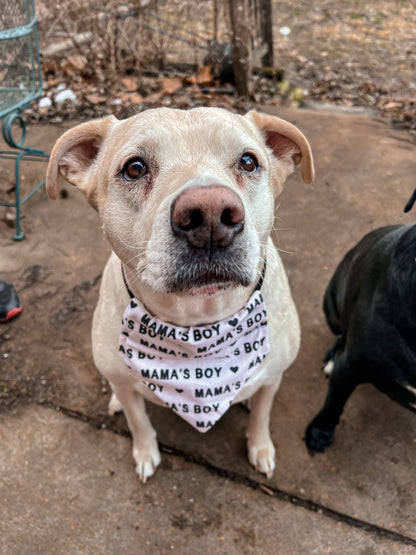 Mamas Boy Bandana