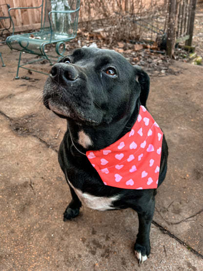 Pink Hearts on Red Bandana