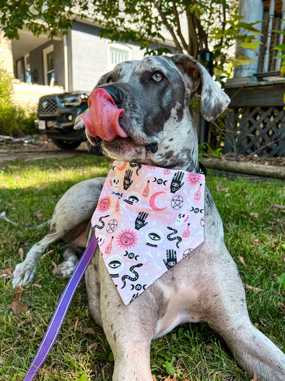 Spooky Pink Bandana