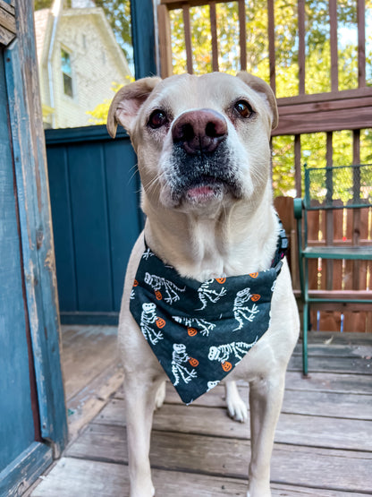 Skeleton Dinosaur Bandana