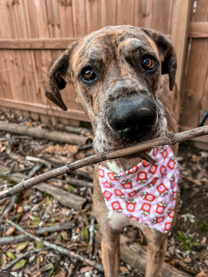 Valentine’s Pup Cups Bandana