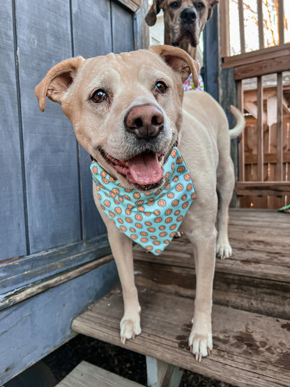 Smiley Suns Bandana