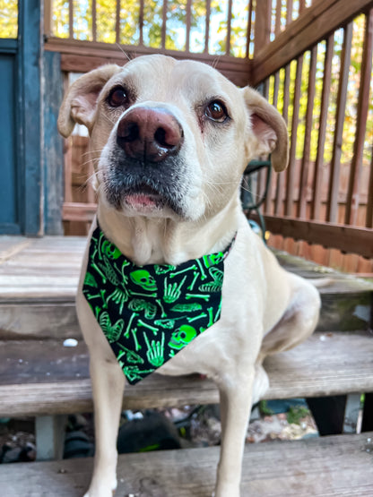 Neon Green Skeleton Bandana