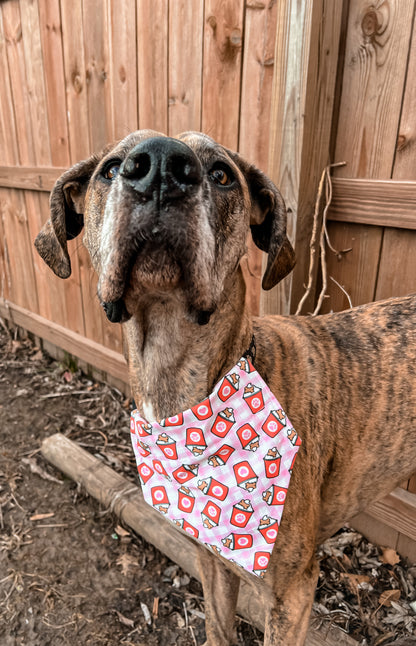 Valentine’s Pup Cups Bandana